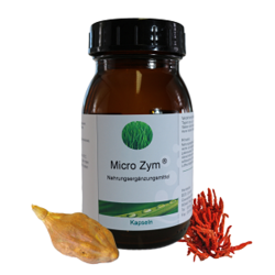Micro Zym Kapseln Vegan - monatliches ABO