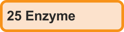 Blutanalyse 25 Enzyme