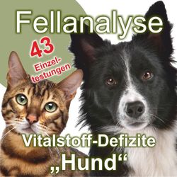 Radionische Fellanalyse: Vitalstoff-Defizite für den "Hund"