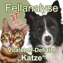 Radionische Fellanalyse: Vitalstoff-Defizite für die "Katze"